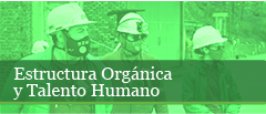 Estructura orgánica y talento humano