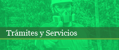 Trámites y servicios