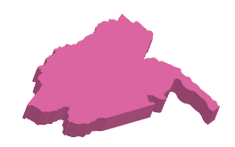 Guainia